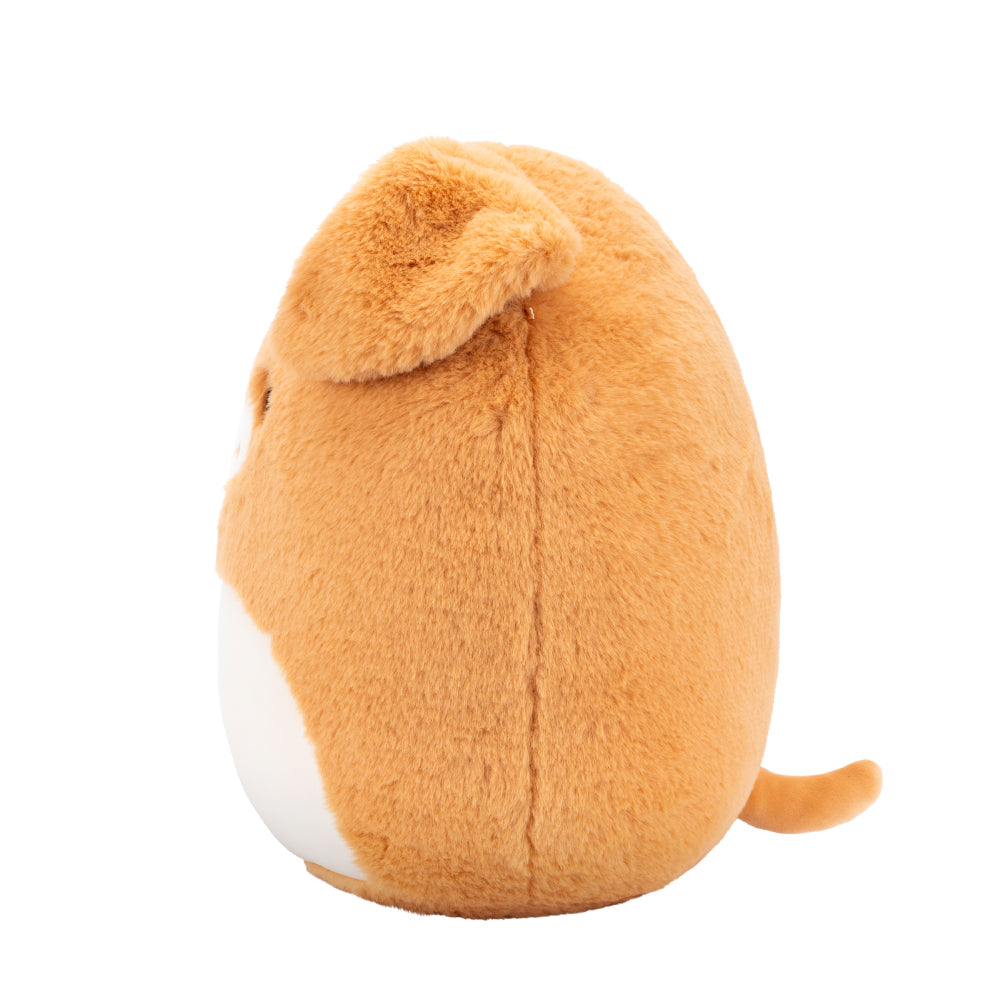 Squishmallows 12インチぬいぐるみ (Stevon/スティーボン)