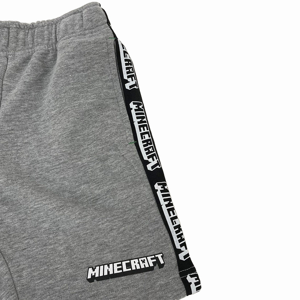 マインクラフト マイクラ天竺・裏毛上下セット