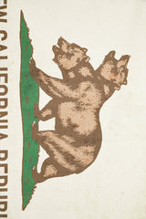 Fallout バナー（NCR）