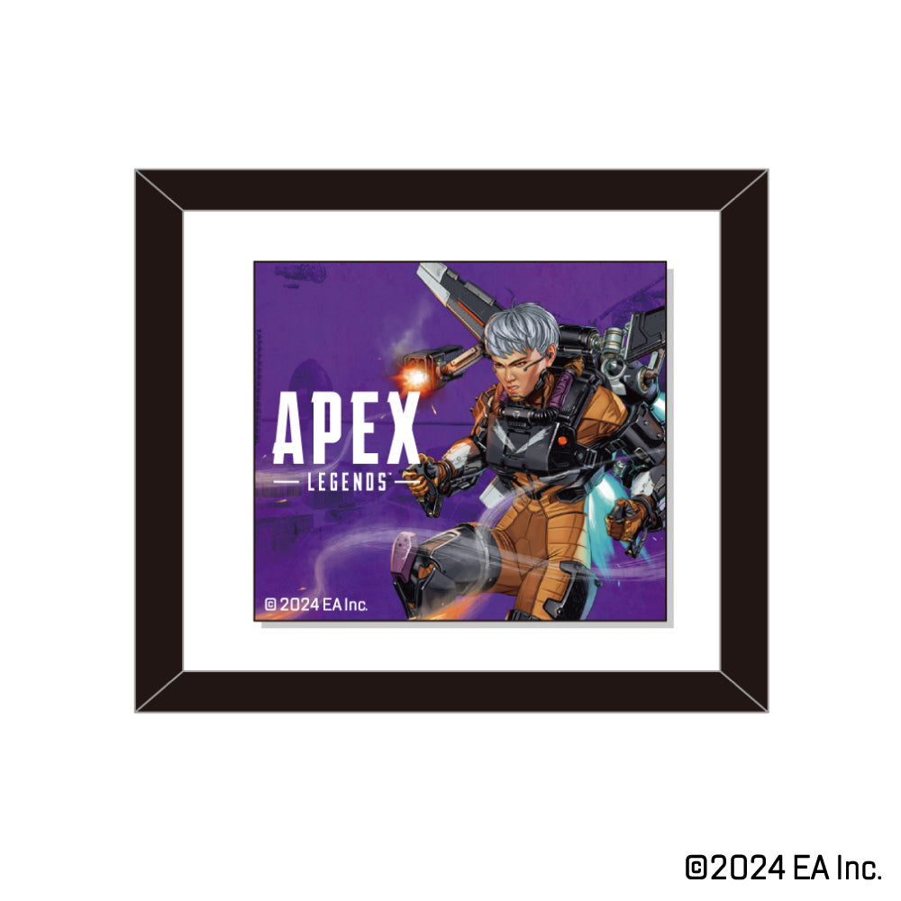 Apex Legends トレーディングフレーム シーズンアート B（マグネット付き）